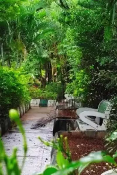 Green Valley ongoing real estate project by NBR Group